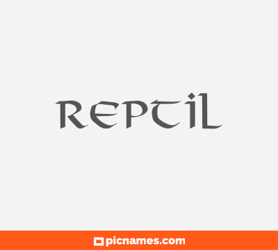Reptil