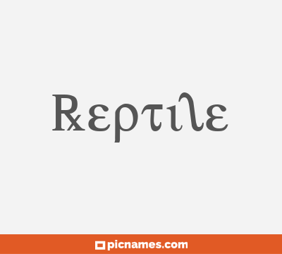 Reptile