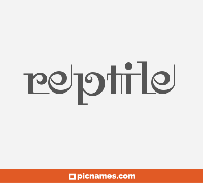 Reptile
