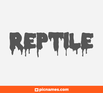 Reptile