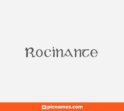 Rocinante