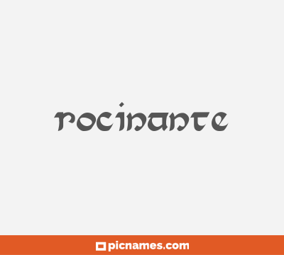 Rocinante