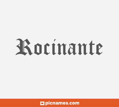 Rocinante