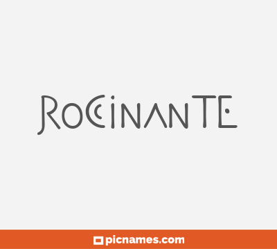 Rocinante