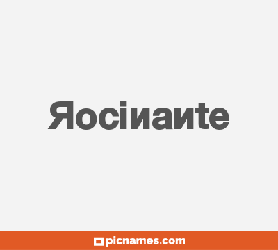 Rocinante