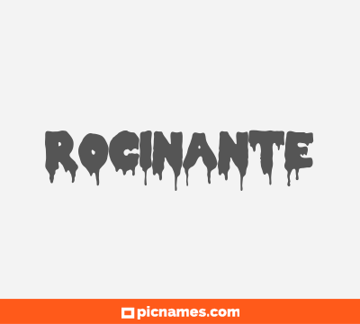 Rocinante