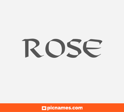 Rose