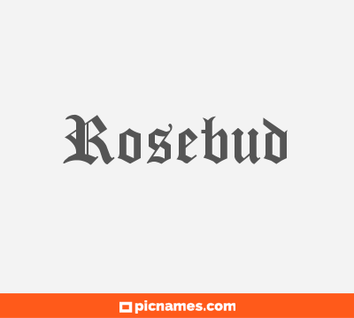 Rosebud