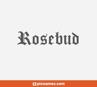 Rosebud