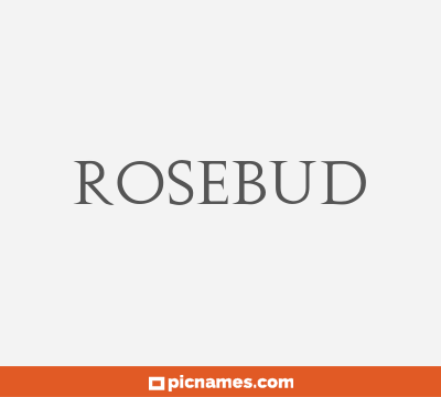 Rosebud