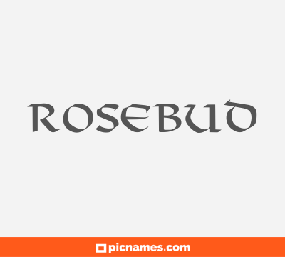 Rosebud