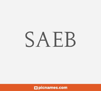 Saeb
