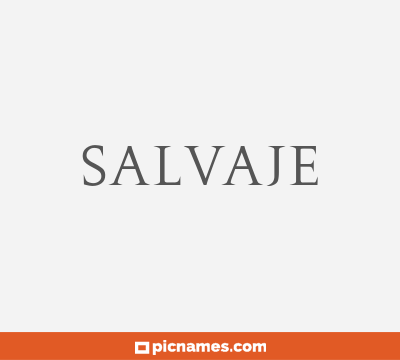 Salvaje