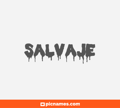 Salvaje