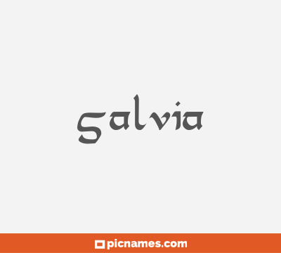 Salvia