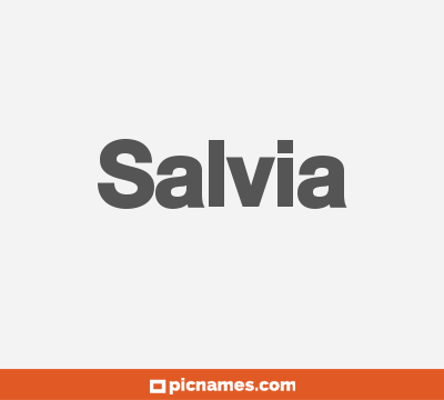 Salvia