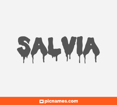 Salvia