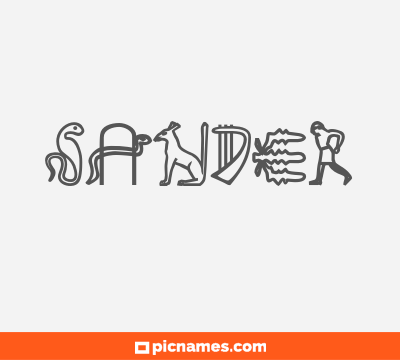 Sander
