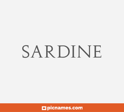 Sardine
