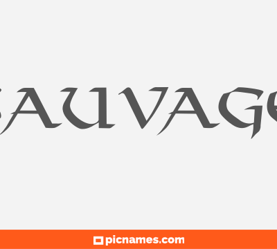 Sauvage