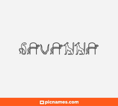 Savanna