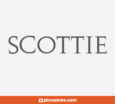 Scottie