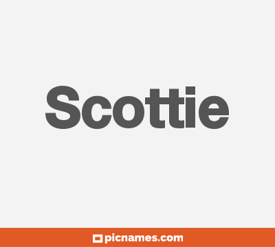 Scottie