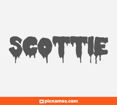 Scottie