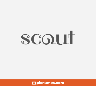 Scout