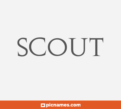 Scout