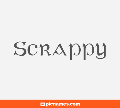 Scrappy