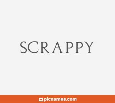 Scrappy