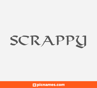 Scrappy