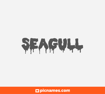 Seagull