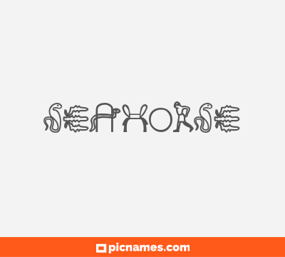 Seahorse