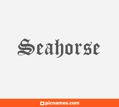 Seahorse