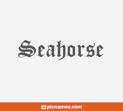 Seahorse