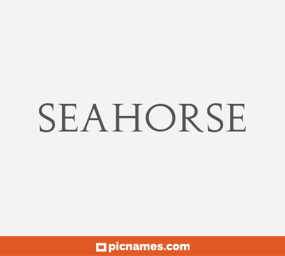 Seahorse