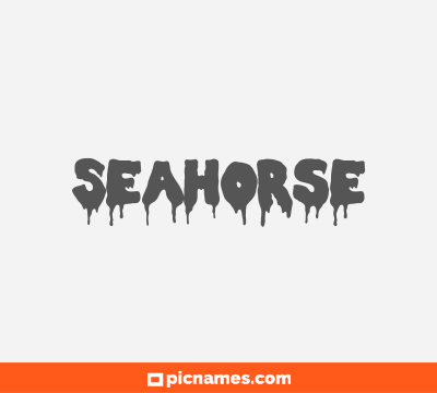 Seahorse