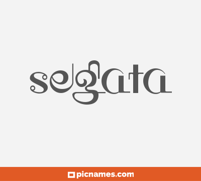 Segata