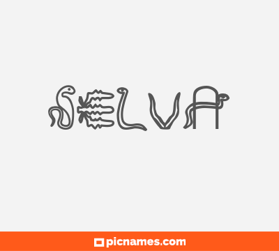 Selva