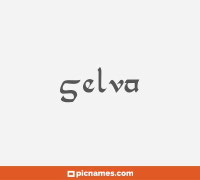 Selva