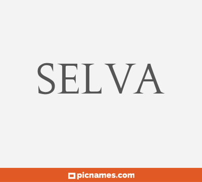 Selva