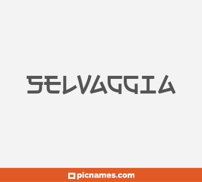 Selvaggia