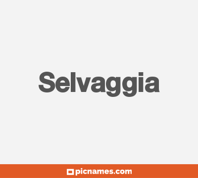 Selvaggia