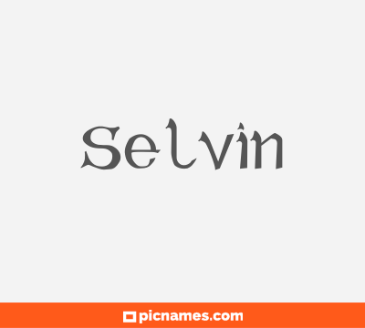 Selvin