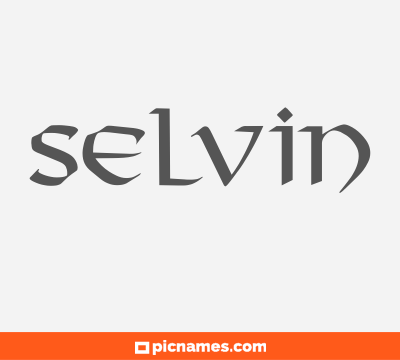 Selvin