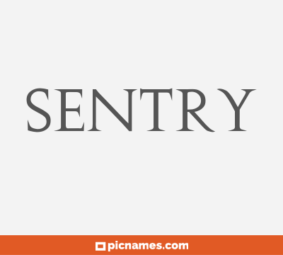 Sentry