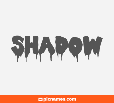 Shadow