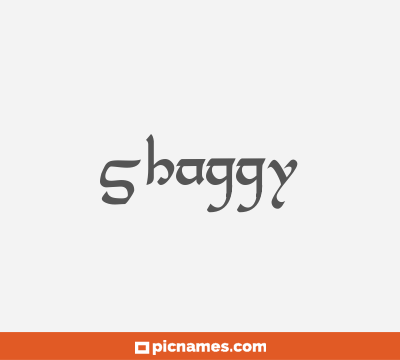 Shaggy